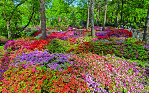 216834 (a): :2560x1600